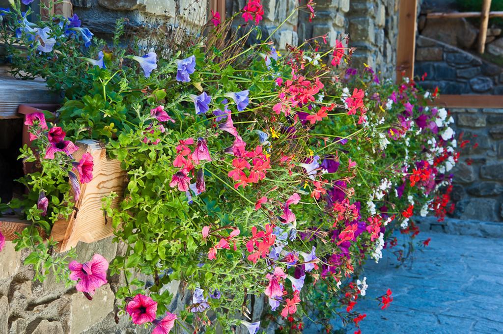 Chalet Alpenrose Bio Wellness Naturhotel Коголо Экстерьер фото